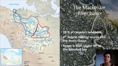 Mercury risk to the environment, humans, and stakeholders in the Mackenzie River